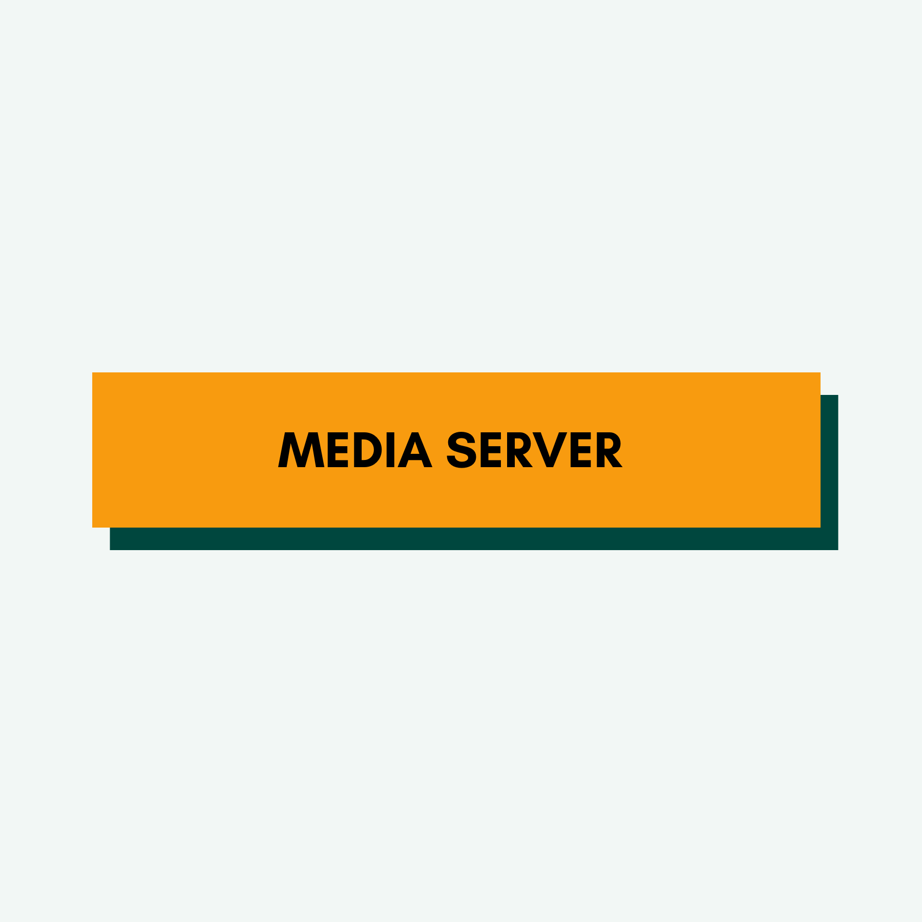 Media Server
